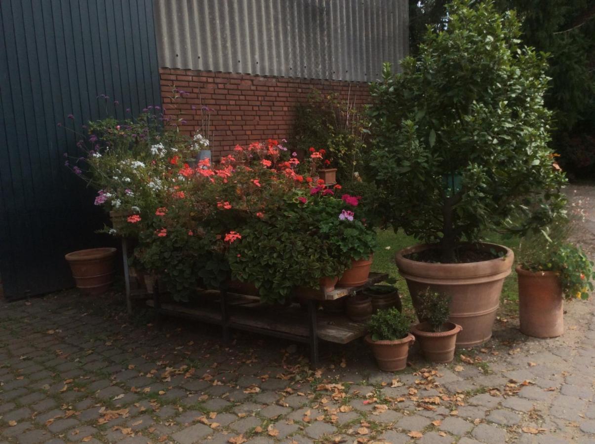 Ferienwohnung Haumannshof ซานเทน ภายนอก รูปภาพ