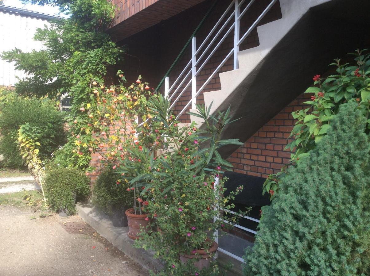 Ferienwohnung Haumannshof ซานเทน ภายนอก รูปภาพ
